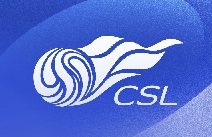 迷的目光 迷的目光